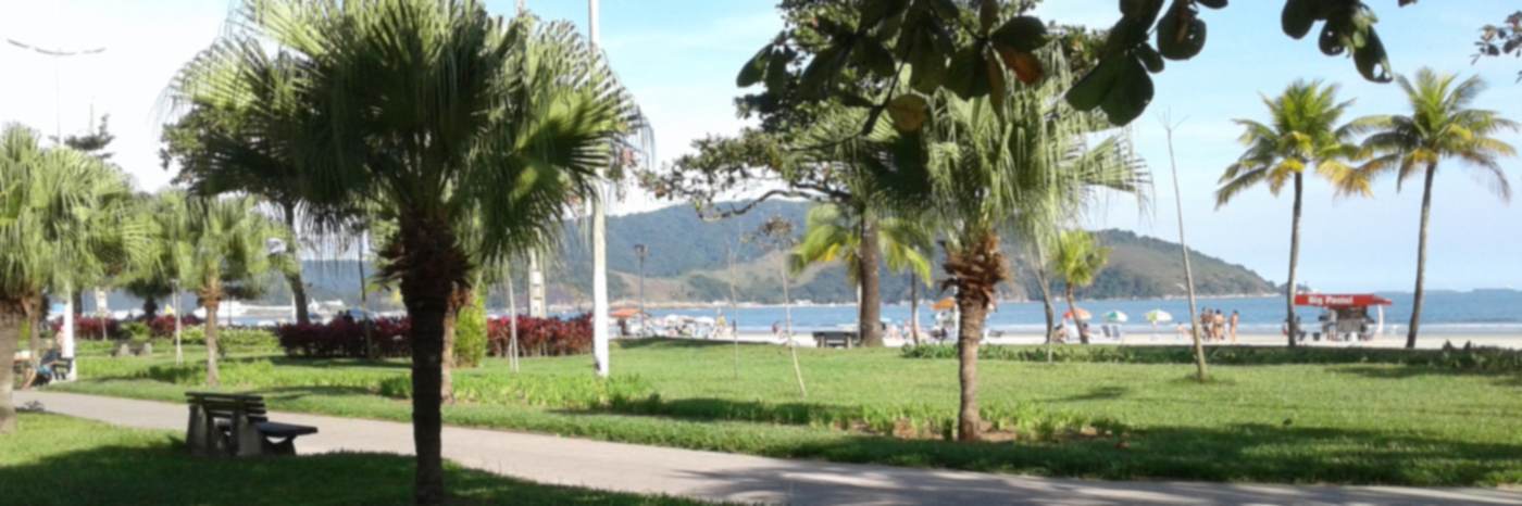 Orla de Santos: jardins, coqueiros e a praia, com os morros ao fundo